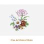 D-Bouquet-A-120x100mm-6.jpg