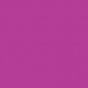 BENGAL PINK-2.jpg