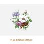 D-Bouquet-A-120x100mm-7.jpg