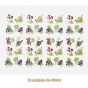 D_Mix_Of_Fruits_40mmx30un_A.jpg