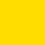 SUN YELLOW-2.jpg