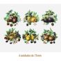 D_Blend_Of_Fruits_75mmx6un_A.JPG