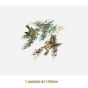 D_Goldcrest_150mmx1un_A.jpg