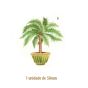 Palmera-b-50mmx1un.jpg
