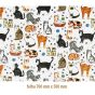 Tapete - Gatos (70x50cm) 1