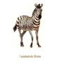 Zebra - 95mm 1