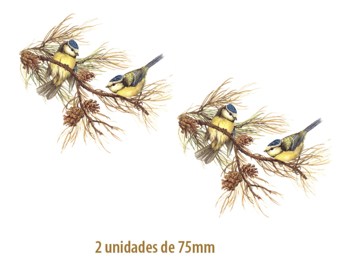 ChapimReal-75mmx2un.png