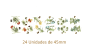 Decalques Flores Botânicas - 45mm x 24un 1