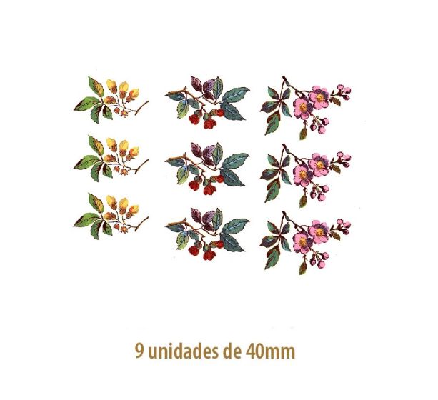 Beauty Flowers 40mm 1