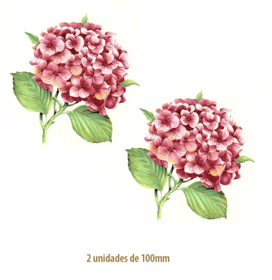 Hortensia Rosa - 100mm 1