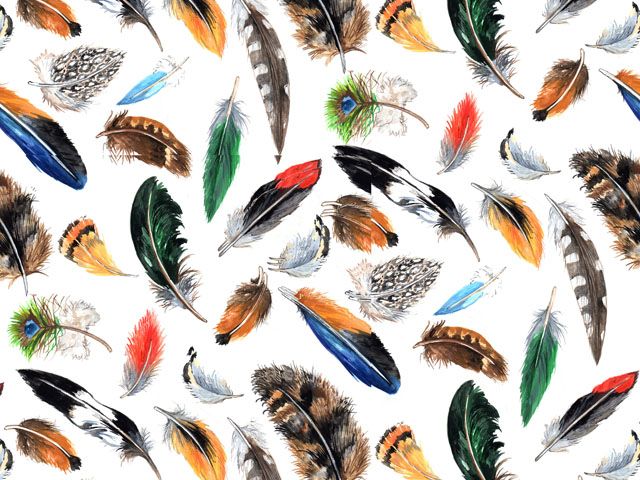 Tapete - Feather (70x50cm) 1