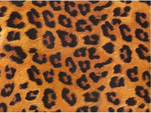 TAPETE - LEOPARD.jpg