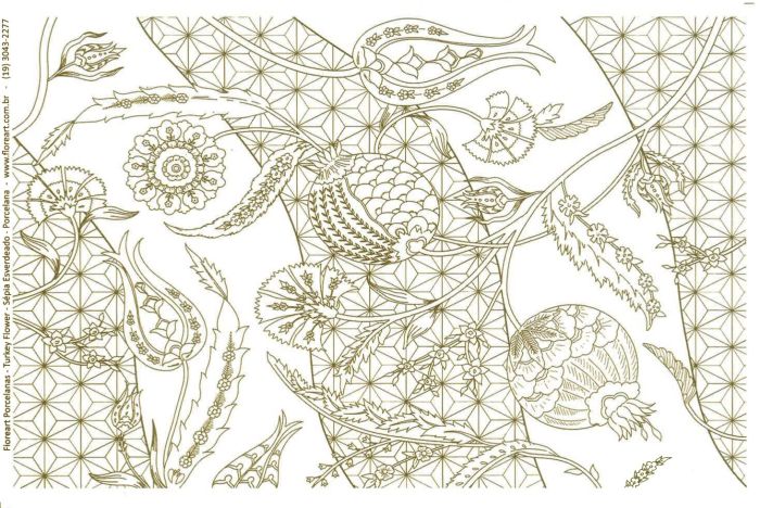 Turkey Flower - Sépia Esverdeado 1