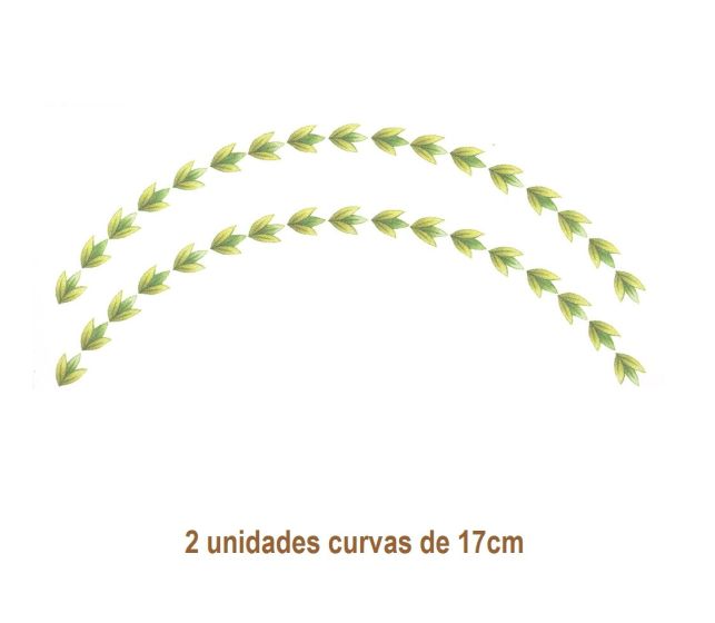Flowers of the Year - Curva de 17cm 1