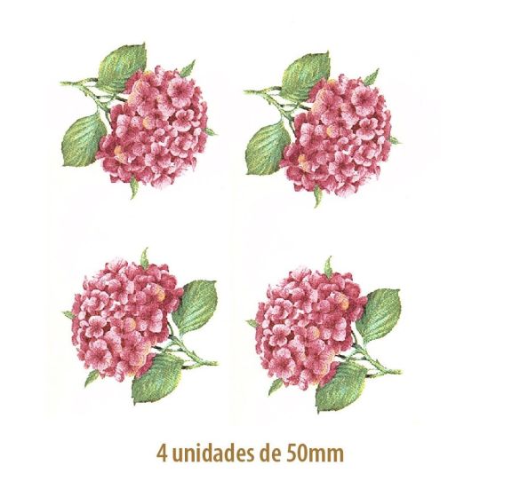 Hortensia Rosa - 50mm 1