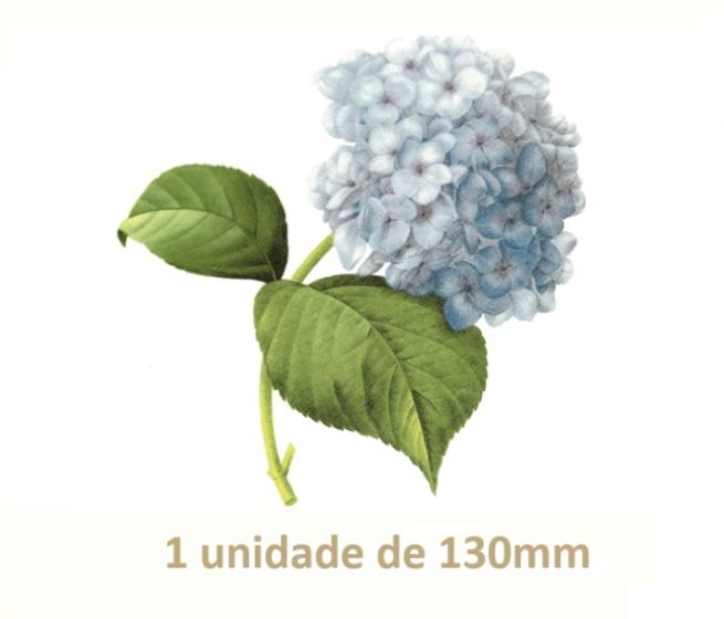 Blue Hortensia - 130mm x 1un 1