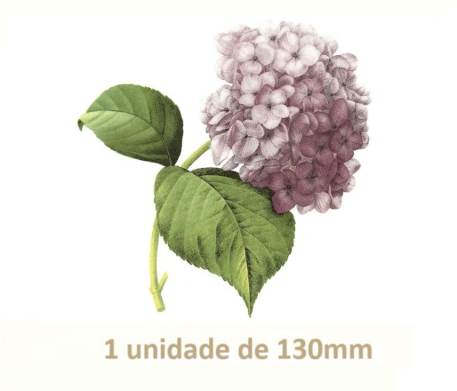 Lilac Hortensia - 130mm x 1un 1