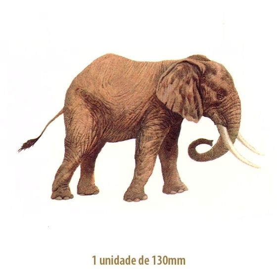 Elephant-130mm.jpg