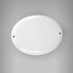 Placa Oval Pequena - 2 Furos 1
