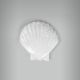 Aplique Concha Scallop 1