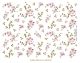 Cherry Blossoms 1
