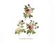 Marite Roses - 95mm 1