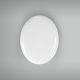 Placa Oval 11x14cm - X110 1