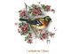 BIRD-ON-CHERYBLOSSOM-135mm.jpg
