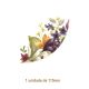 Spring-Crocus-B-115mmx1un.jpg