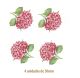 Hortencia-Rosa-50mmx4un.jpg
