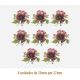 D_Poppy_33x27mmx8un_A.JPG