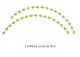 FLOWEROFTHEYEAR-Curva-19cm.jpg