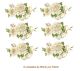 Mistflower-90x56mmx6un.jpg