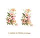 D_Wild-Rose-100x60mm.jpg