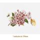 D_Pink_Branch_190mm_1un.jpg
