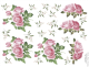 Rosas 02.png