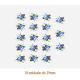 D_Garden_H_29mmx18un_A.JPG