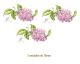 D_Lilac_Branch_70mmx3un_A.jpg