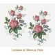 D_Little_Rose_B_108x70mmx2un_A.JPG