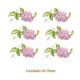 D_Lilac_Branch_50mmx6un_A.jpg