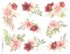 Pink Rose Blossom.jfif
