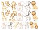 Lovely Animals.jpg