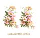 D_Wild-Rose-120x75mm-2un.jpg