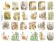 Peter Rabbit and Friends.jpeg