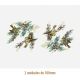 D_Goldcrest_100mmx2un_A.JPG