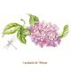 D_LilacBranch-190mm.jpg