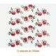 D_Jubilee_Rose_100mmx12un_A.JPG