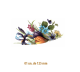 Spring-Crocus-E-125mmx1un.png