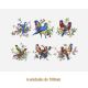 D-BEAUTY-BIRDS-100.jpg