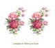 D_Peonies-A-140x85mmx2un.jpg
